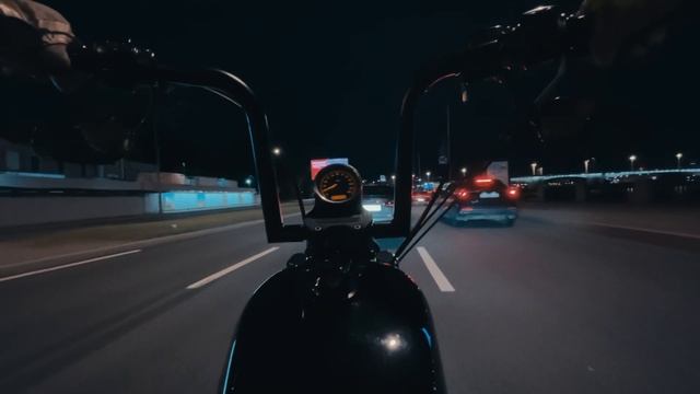 Ведро с болтами, Санкт-Петербург и лето. Harley Davidson