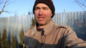 Засыхающий персик, но есть надежда.