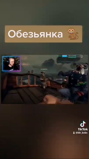 наш питомец 🐒#пираты #юмор #seaofthieves смотреть онлайн