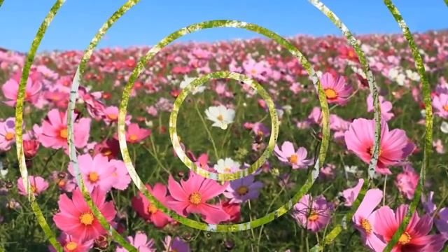 Удачного дня Отличного настроения Пожелание смотреть онлайн