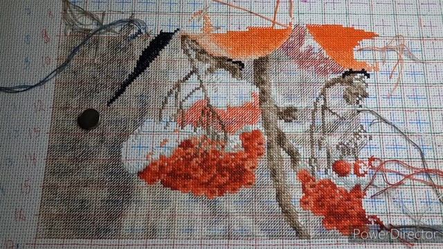 05.12.2024  Золотое Руно 