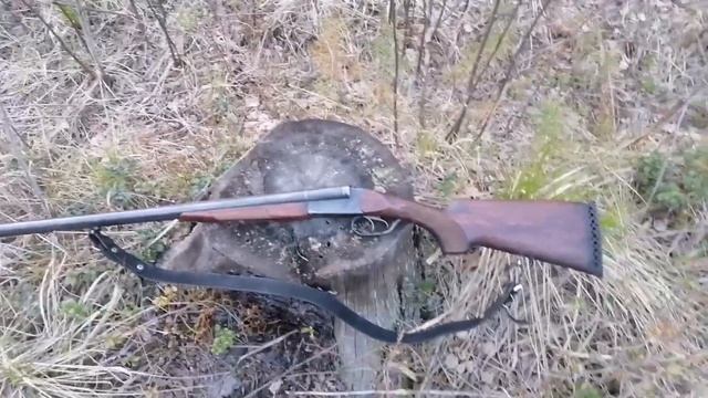 Охота на вальдшнепа. Иж 58, 16 калибр.