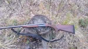 Охота на вальдшнепа. Иж 58, 16 калибр.