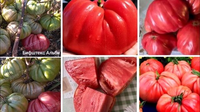 Бифштекс Альби – неожиданная находка среди Минусинск смотреть онлайн