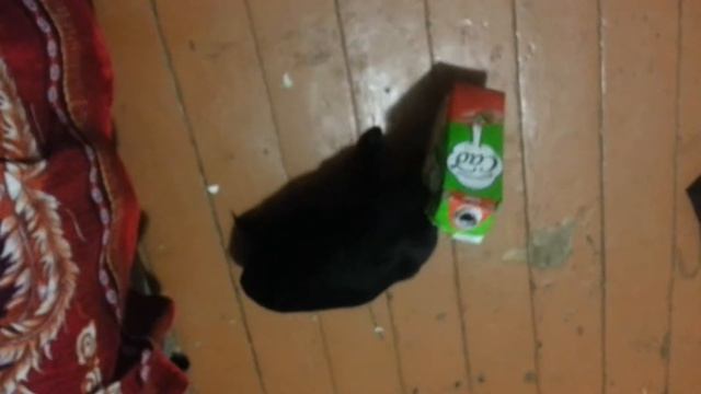 Я томат смотреть онлайн