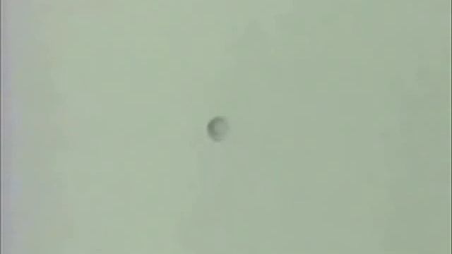 Пародия на ВИD ВИD'ot 4854