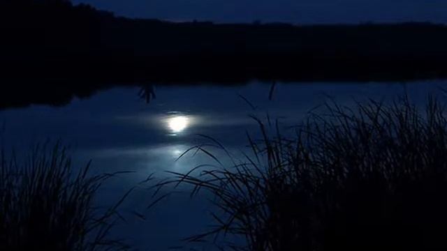 Баллада пути (Ветка персика)