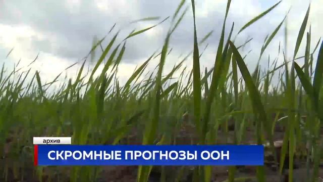Скромные прогнозы ООН смотреть онлайн