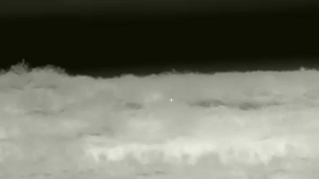 Волки съели 2 теленка и получили отпор. смотреть онлайн