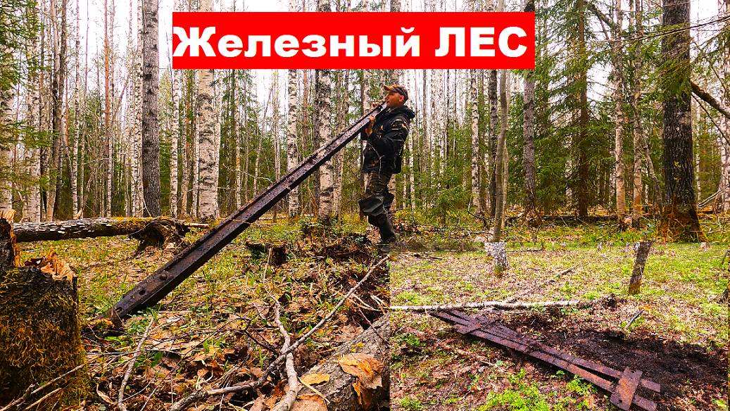 Это просто ЖЕЛЕЗНЫЙ ЛЕС! Нашел в лесу остатки железной дороги. #тайга #металокоп #металоискатель смотреть онлайн