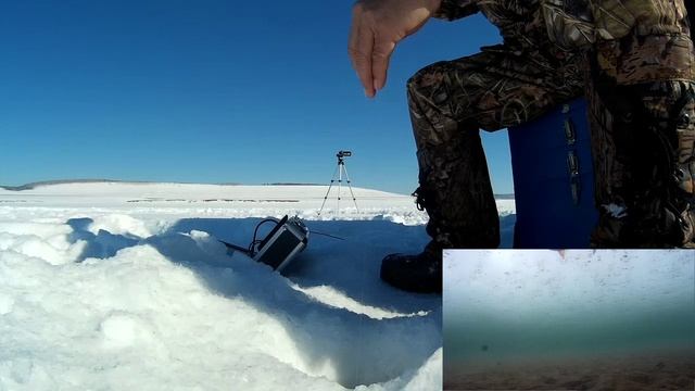 Борьба с окунём 900 гр. Леска 0.09 мм. смотреть онлайн