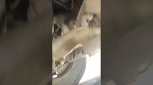 Замена втулок стабилизатора в домашних условиях Octavia a