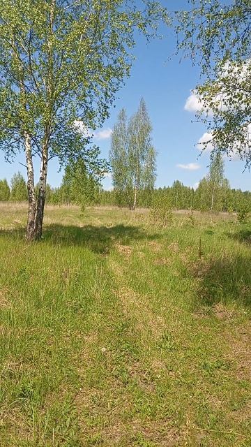 Село👍👍👍 смотреть онлайн