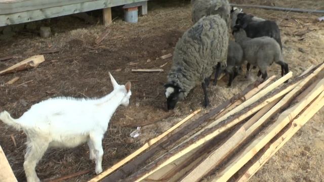 2 Мая НАКОНЕЦ в отпуске смотреть онлайн