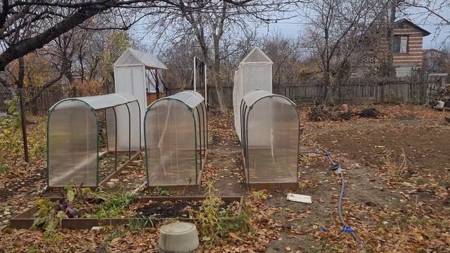 Сбор урожая осень 2024