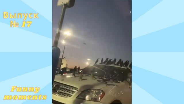 30 Минут Русских приколов . Смешные видео - Лучшие ПРИКОЛЫ , ТИК ТОК смотреть онлайн