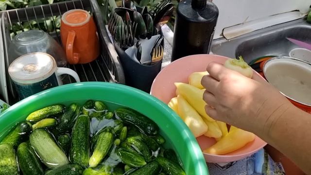 Срочно! Дали свет! Первым делом стирка) Решила угодить смотреть онлайн