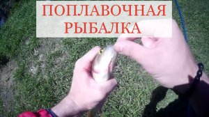 Рыбалка на поплавок с берега на речке