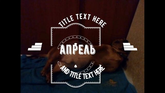 Апрель премьера трека #рэп #хипхоп #апрель смотреть онлайн
