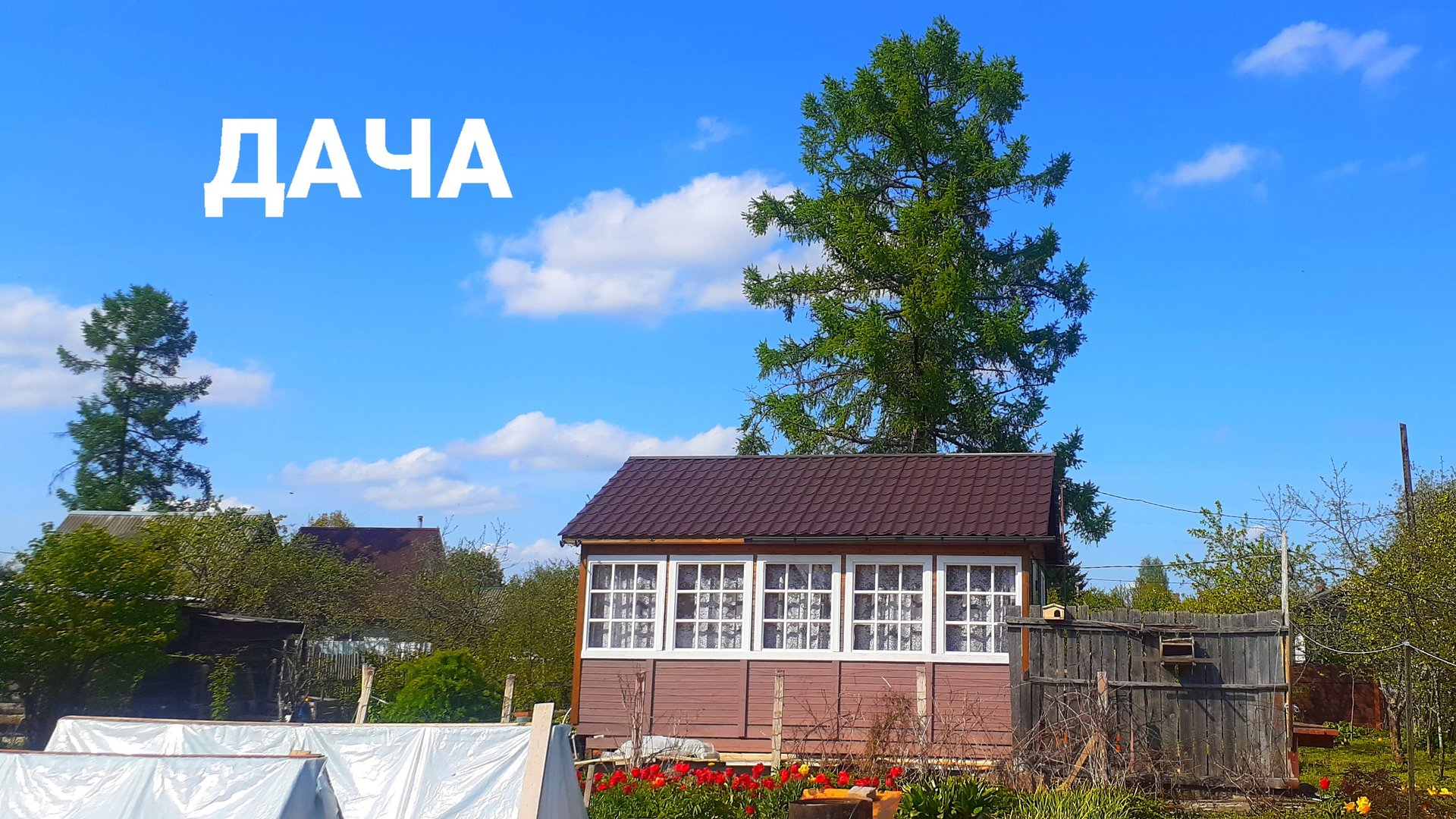 дача . мульча для кабачков . сад и огород . приусадебное хозяйство . #косякосяков смотреть онлайн