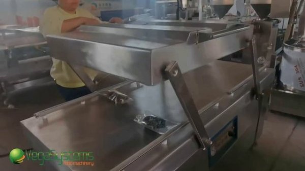 Вакуумный упаковщик Vega VPM