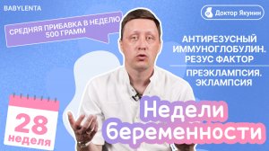 28 неделя беременности — что происходит с малышом и будущей мамой? #здоровье #топыкатегорий