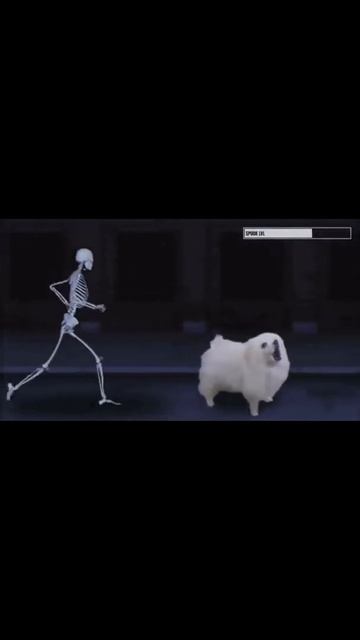 Собачка скелет смотреть онлайн