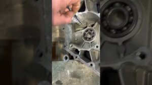 Сборка и доработка двс Stels 500