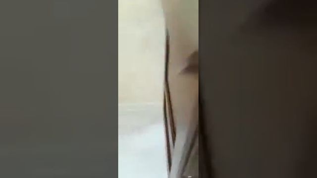 Тумба с потайными ящиками смотреть онлайн