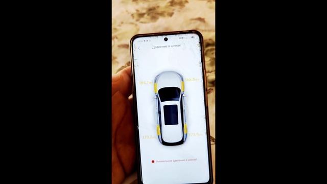 Стоит ли активировать приложение BYD? #byd #chinacar #bydyuanplus #ele