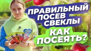 ПРАВИЛЬНЫЙ ПОСЕВ СВЕКЛЫ. КАК ПОСЕЯТЬ?