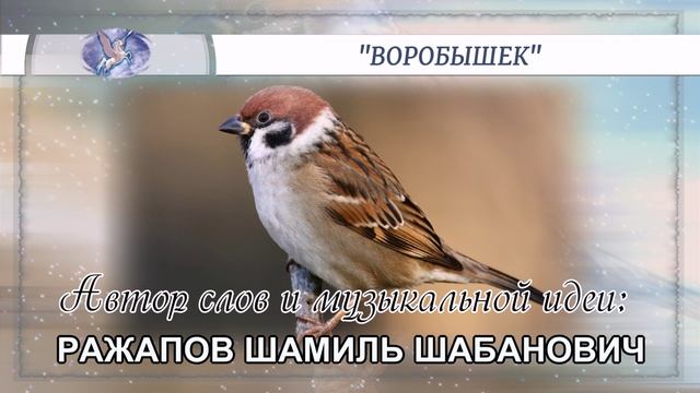 РАЖАПОВ ШАМИЛЬ ШАБАНОВИЧ - слова и музыкальная идея ✪ VOCAL(♂♀) - вокал ✪ 