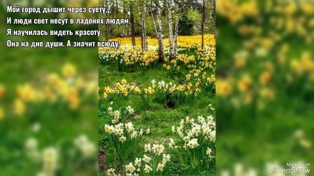 Майские цветущие сирень и каштаны 2025 в Калининграде смотреть онлайн