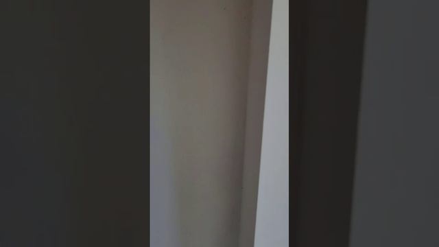 5825889 смотреть онлайн