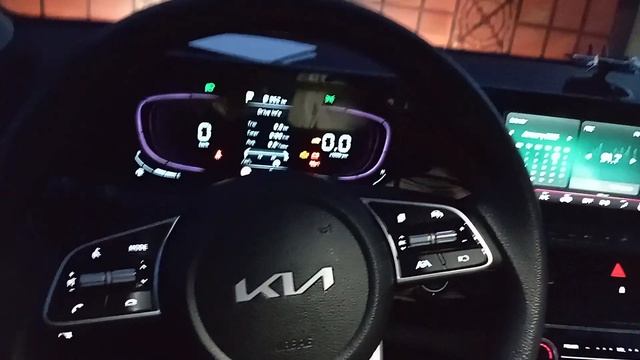 Честный обзор на KIA SELTOS китайской сборки  8к пробег