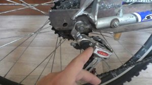 Крутишь назад педали на велосипеде прыгает или закусывает цепь почему?