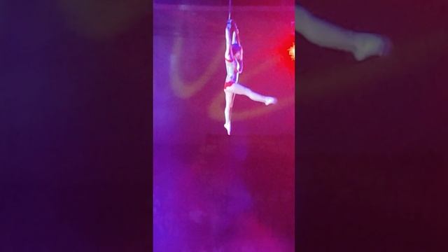 цирковой мюзикл на воде. фрагмент