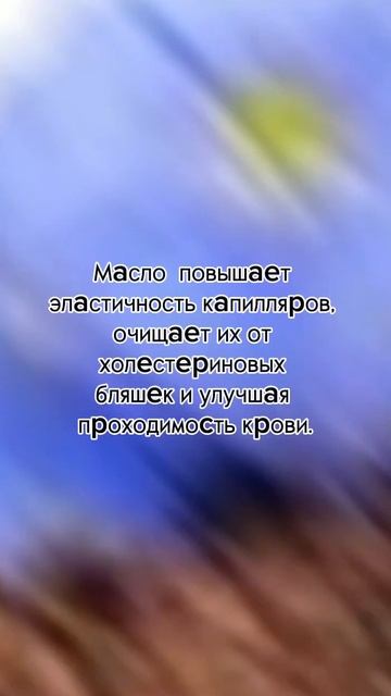 МАСЛО ЛЬНА смотреть онлайн