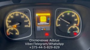 Отключение Adblue, DPF и EGR Mercedes Atego 2016 г.в. Euro-6