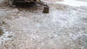 Стартер Ssangyong Kyron не подает признаков жизни, временное