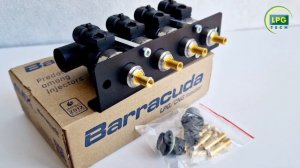 Форсунки Barracuda 4 циліндри