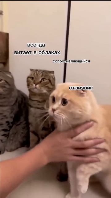 Типичный класс 😜 смотреть онлайн
