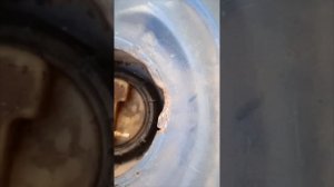 как открутить крышку бензобака Рено Логан. Лада ларгу?