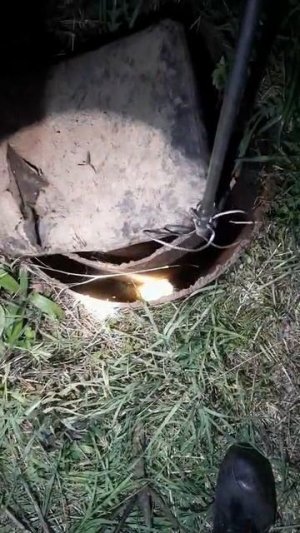 В посёлке Новостройка спасли сурка