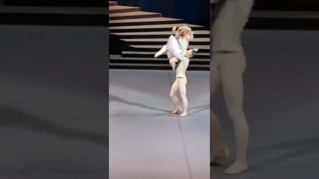 Спящая красавица. Принцесса Флорина - Рита Шрайнер. Го?