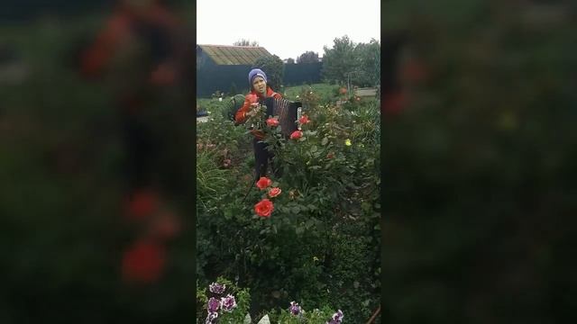 Я встретил розу 🎶🌹