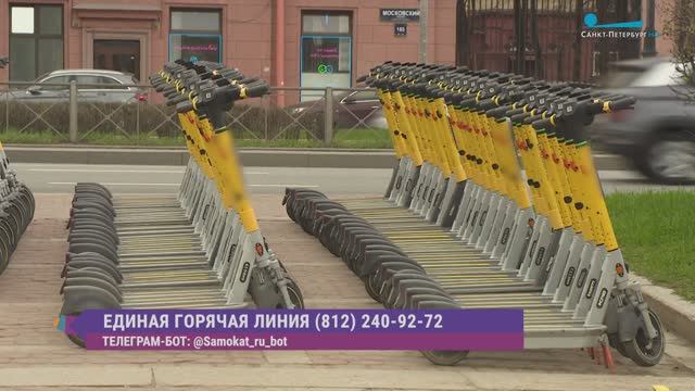 Как операторы кикшерина и власти города борются с хулиганами?