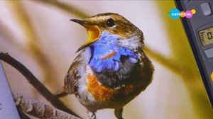 Навигатор. Новости (от 11.03.2025)