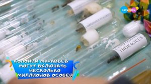 Навигатор. Новости (от 20.02.2025)