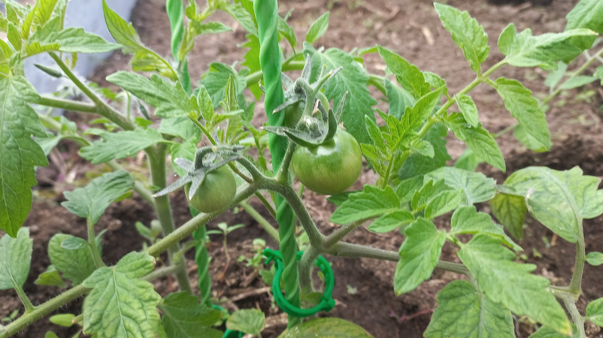 Огромный ПРИЕХАЛ ПОДАРОК С ДОСТАВКОЙ ДО ДОМА В ДЕРЕВНИ с ВБ СУПЕР смотреть онлайн